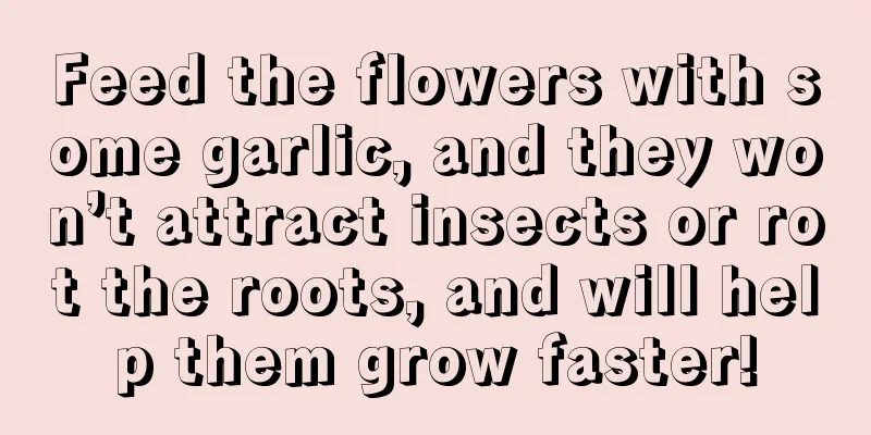 Feed the flowers with some garlic, and they won’t attract insects or rot the roots, and will help them grow faster!