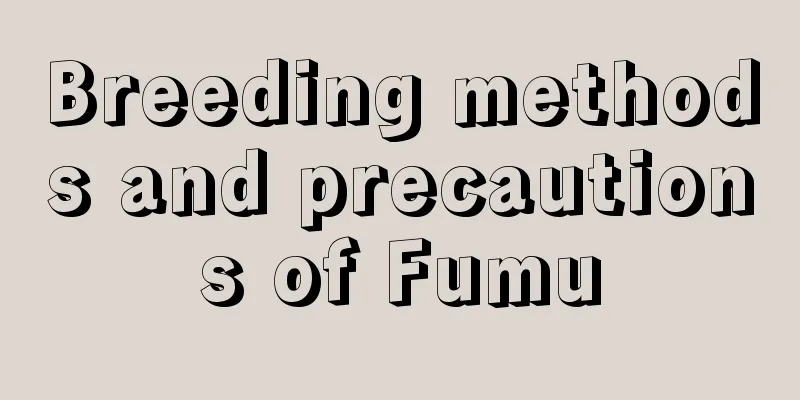 Breeding methods and precautions of Fumu