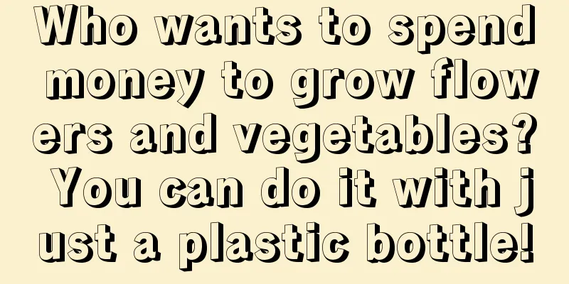 Who wants to spend money to grow flowers and vegetables? You can do it with just a plastic bottle!