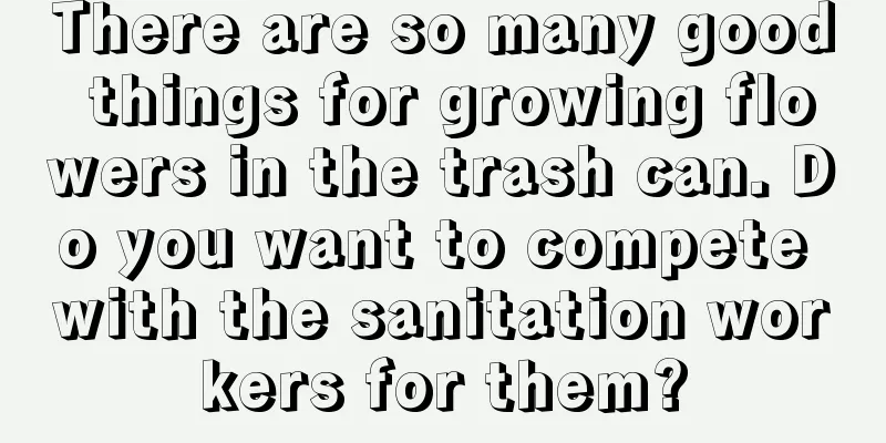 There are so many good things for growing flowers in the trash can. Do you want to compete with the sanitation workers for them?