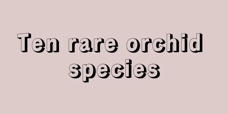 Ten rare orchid species