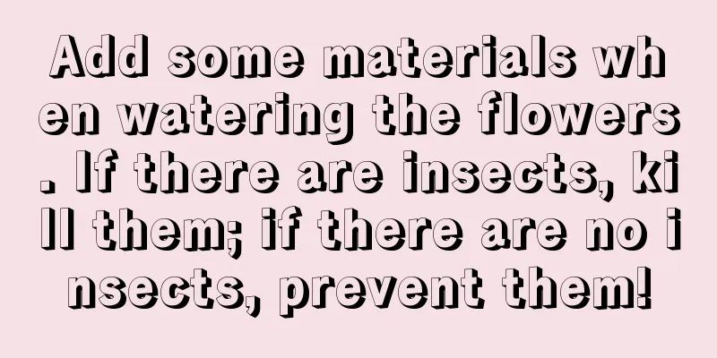 Add some materials when watering the flowers. If there are insects, kill them; if there are no insects, prevent them!