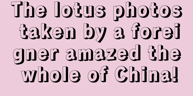 The lotus photos taken by a foreigner amazed the whole of China!