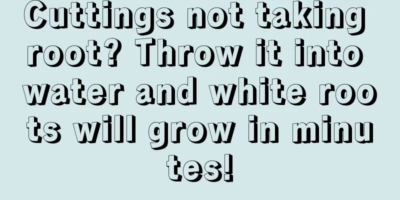 Cuttings not taking root? Throw it into water and white roots will grow in minutes!