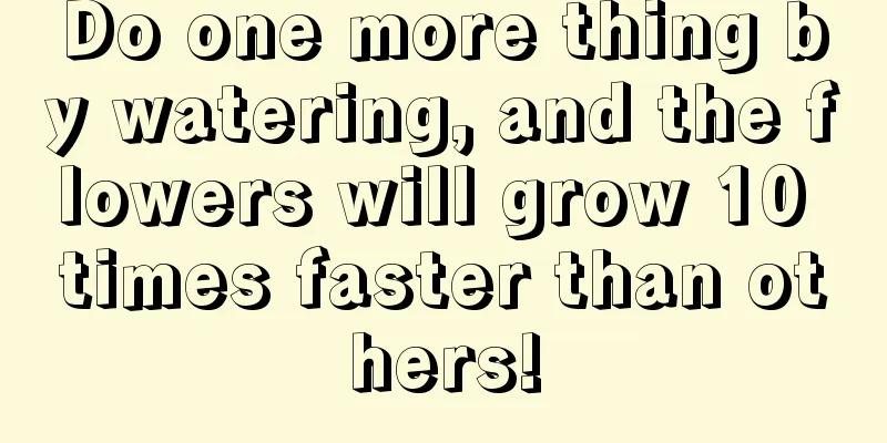 Do one more thing by watering, and the flowers will grow 10 times faster than others!