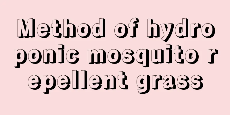 Method of hydroponic mosquito repellent grass