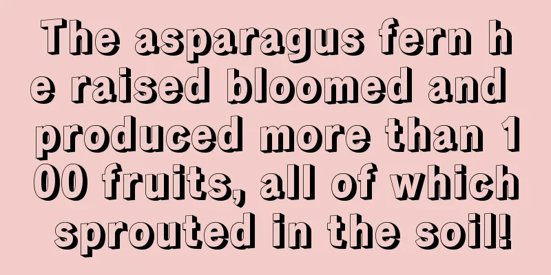 The asparagus fern he raised bloomed and produced more than 100 fruits, all of which sprouted in the soil!