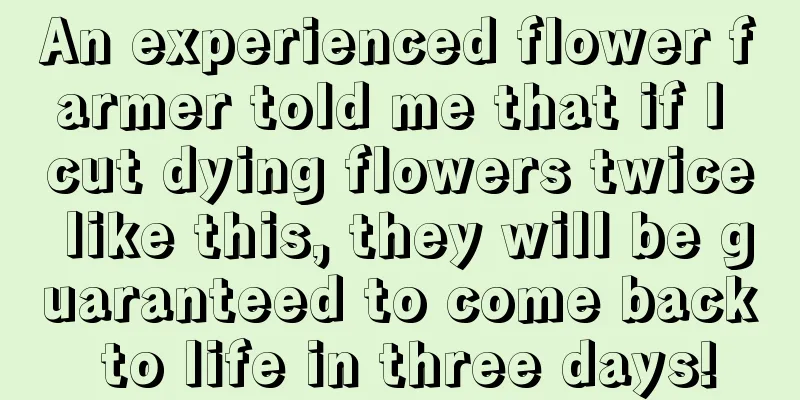 An experienced flower farmer told me that if I cut dying flowers twice like this, they will be guaranteed to come back to life in three days!