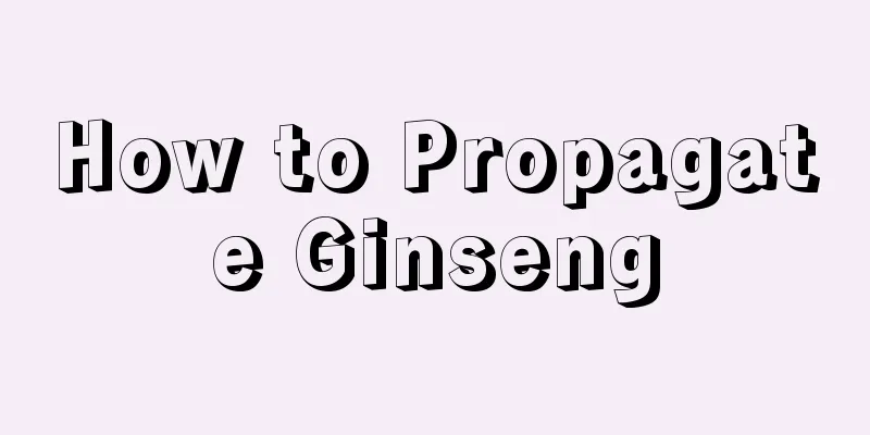 How to Propagate Ginseng