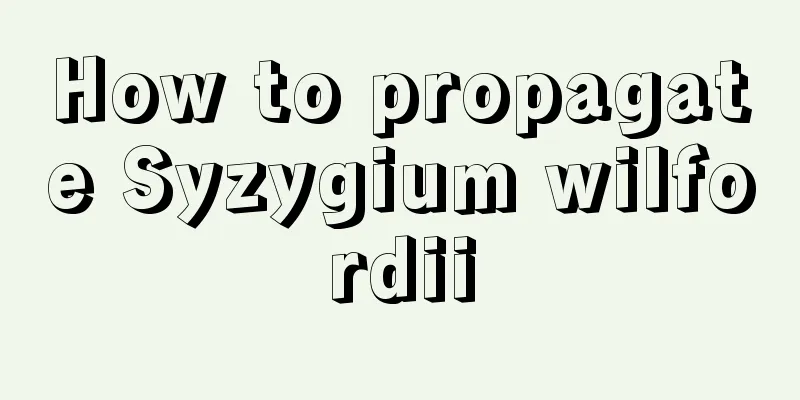 How to propagate Syzygium wilfordii