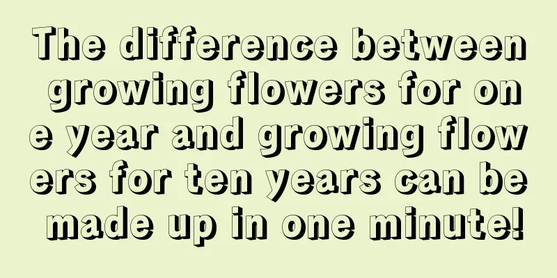 The difference between growing flowers for one year and growing flowers for ten years can be made up in one minute!