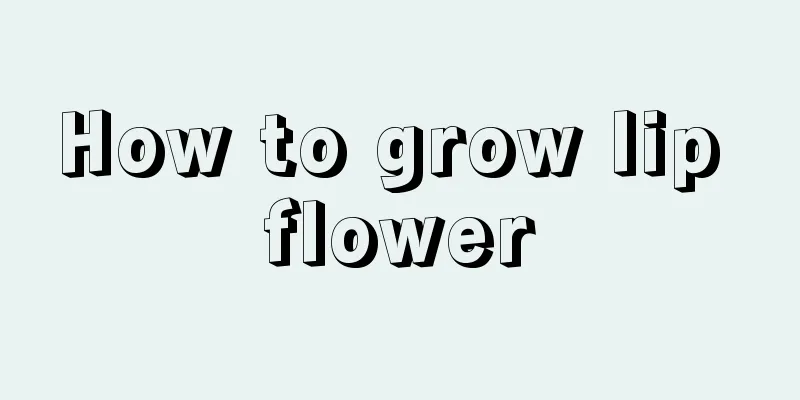 How to grow lip flower