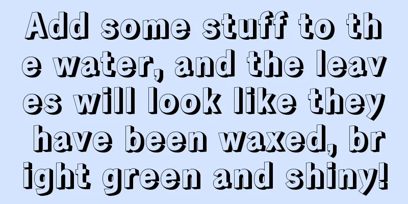 Add some stuff to the water, and the leaves will look like they have been waxed, bright green and shiny!