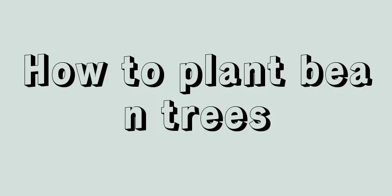 How to plant bean trees