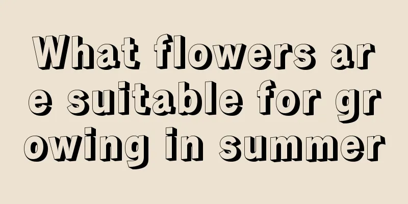 What flowers are suitable for growing in summer