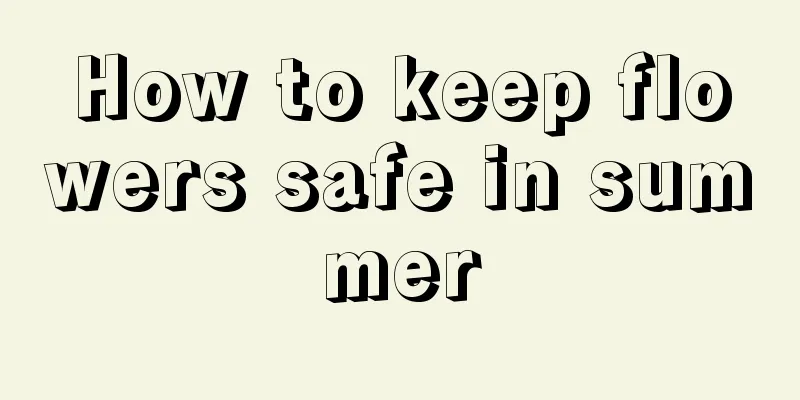 How to keep flowers safe in summer