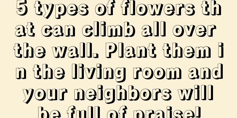 5 types of flowers that can climb all over the wall. Plant them in the living room and your neighbors will be full of praise!