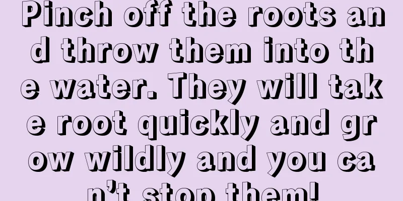 Pinch off the roots and throw them into the water. They will take root quickly and grow wildly and you can’t stop them!