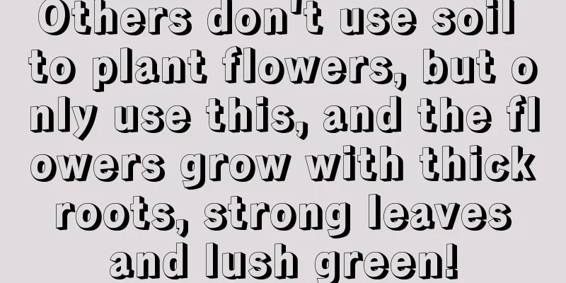 Others don't use soil to plant flowers, but only use this, and the flowers grow with thick roots, strong leaves and lush green!