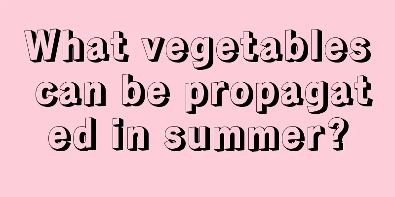 What vegetables can be propagated in summer?