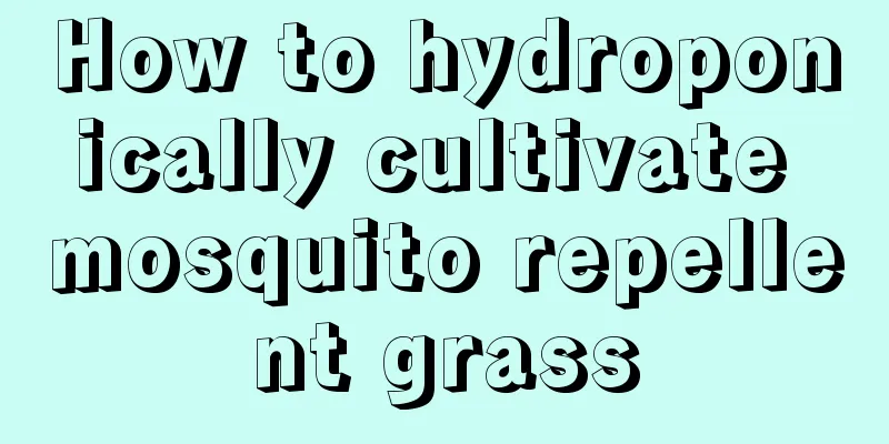 How to hydroponically cultivate mosquito repellent grass