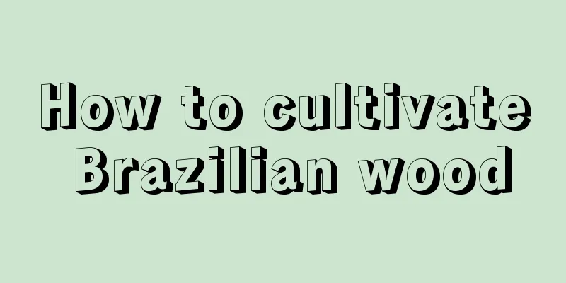 How to cultivate Brazilian wood