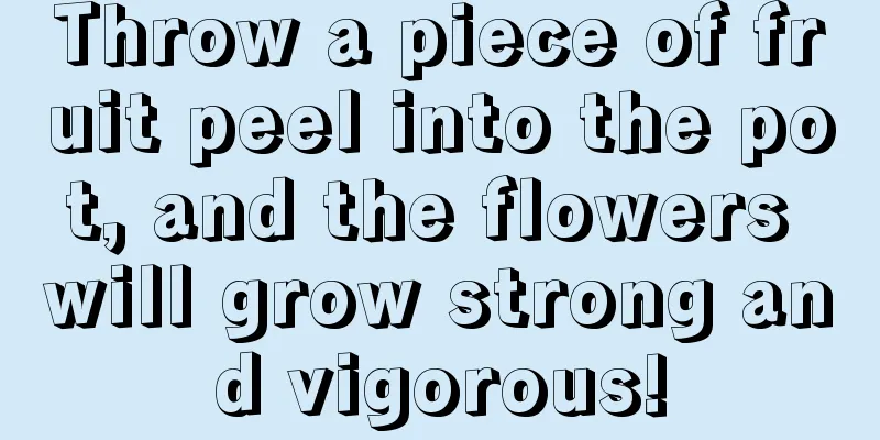 Throw a piece of fruit peel into the pot, and the flowers will grow strong and vigorous!