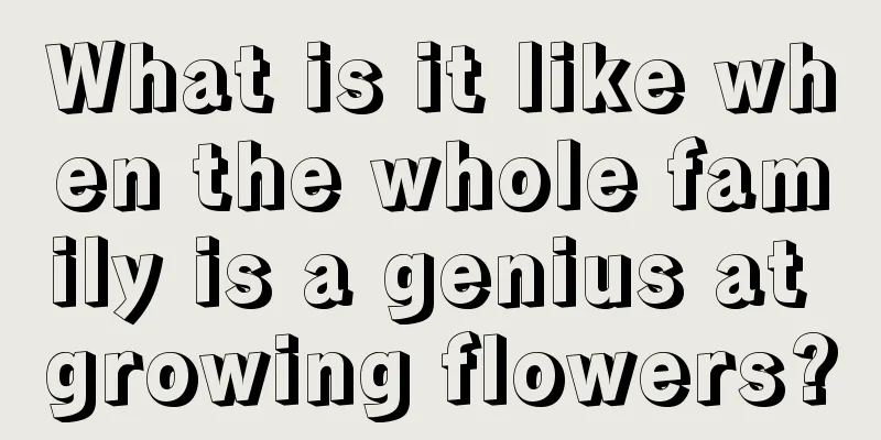 What is it like when the whole family is a genius at growing flowers?