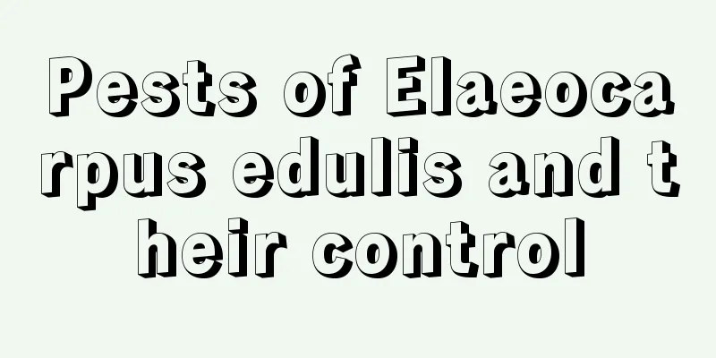 Pests of Elaeocarpus edulis and their control