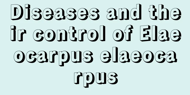 Diseases and their control of Elaeocarpus elaeocarpus