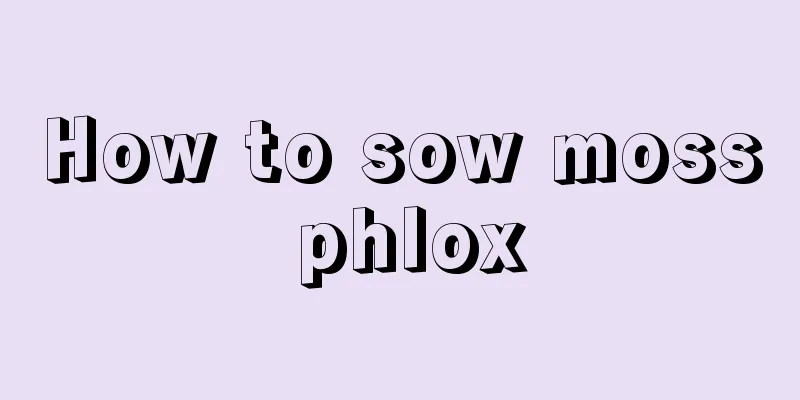 How to sow moss phlox