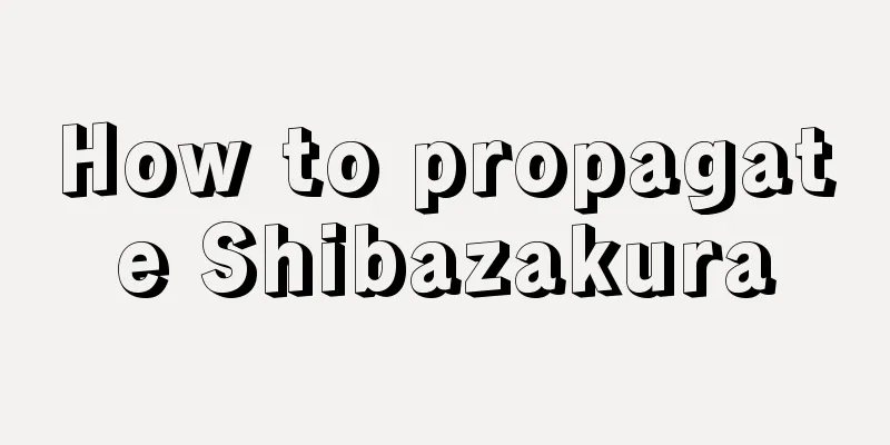 How to propagate Shibazakura