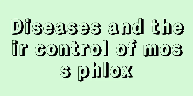 Diseases and their control of moss phlox