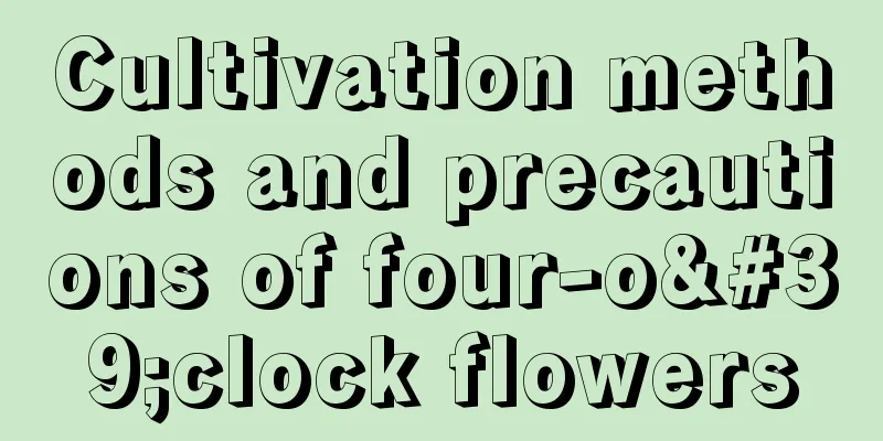 Cultivation methods and precautions of four-o'clock flowers