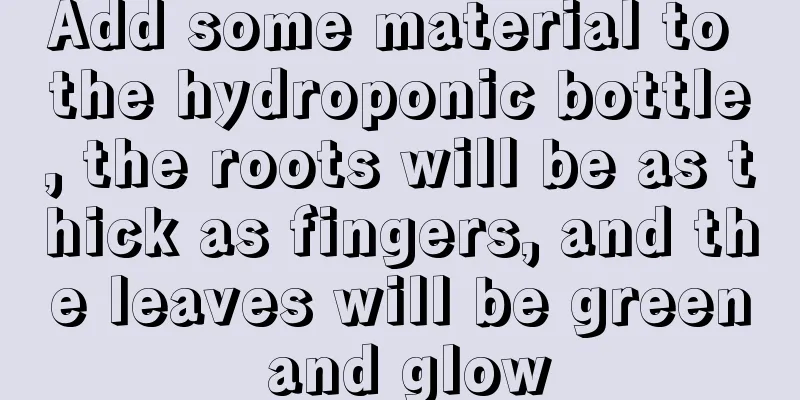 Add some material to the hydroponic bottle, the roots will be as thick as fingers, and the leaves will be green and glow