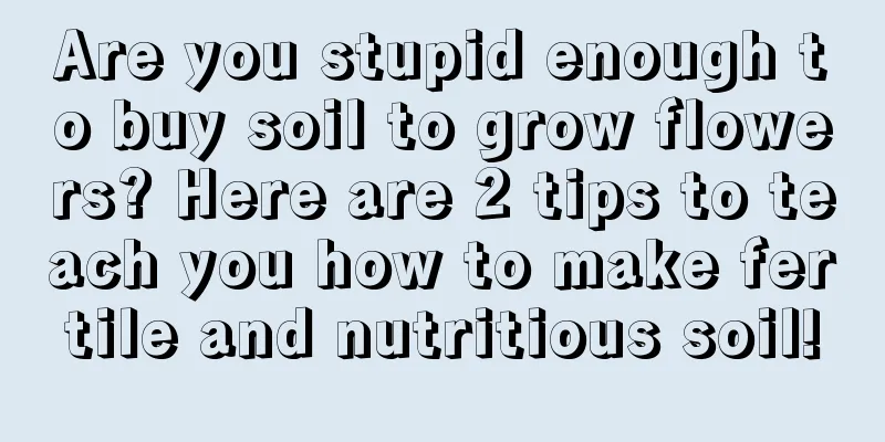 Are you stupid enough to buy soil to grow flowers? Here are 2 tips to teach you how to make fertile and nutritious soil!