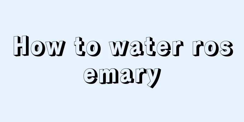 How to water rosemary