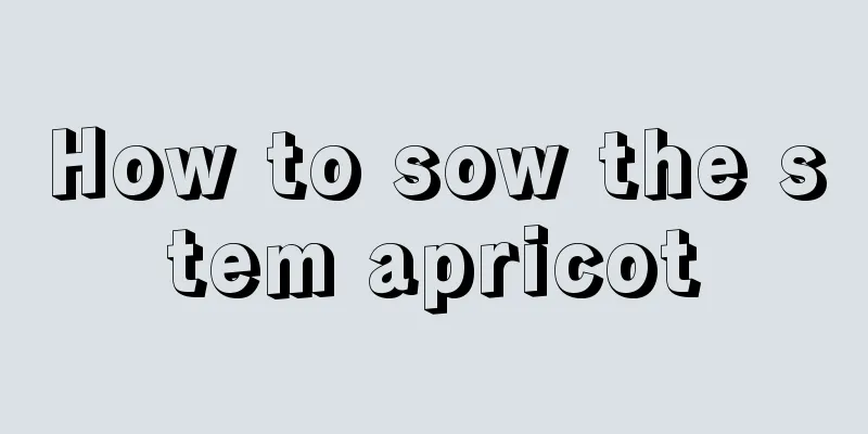 How to sow the stem apricot