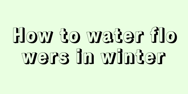 How to water flowers in winter