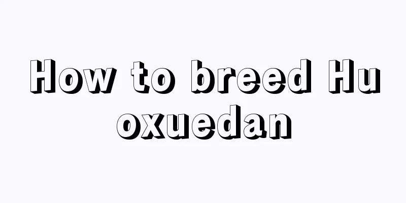 How to breed Huoxuedan