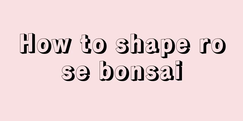 How to shape rose bonsai