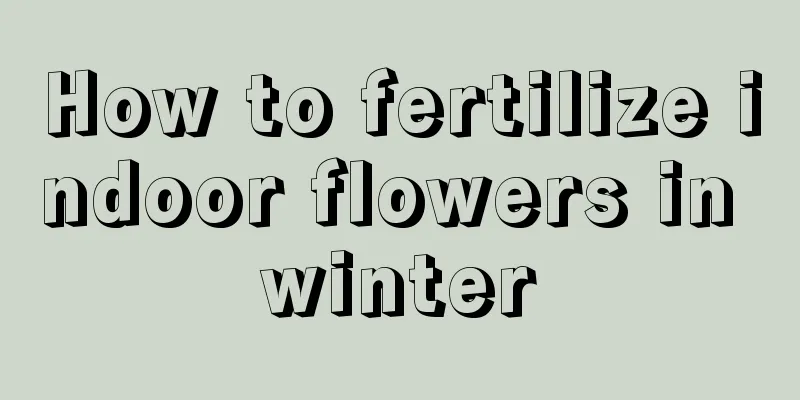 How to fertilize indoor flowers in winter