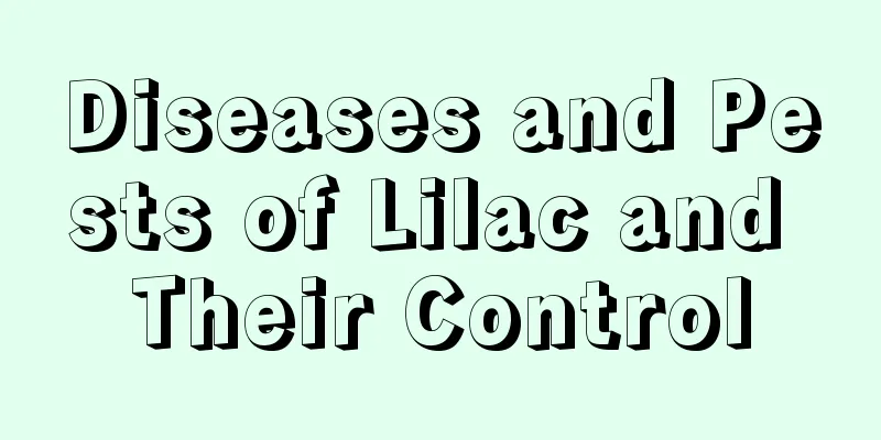 Diseases and Pests of Lilac and Their Control