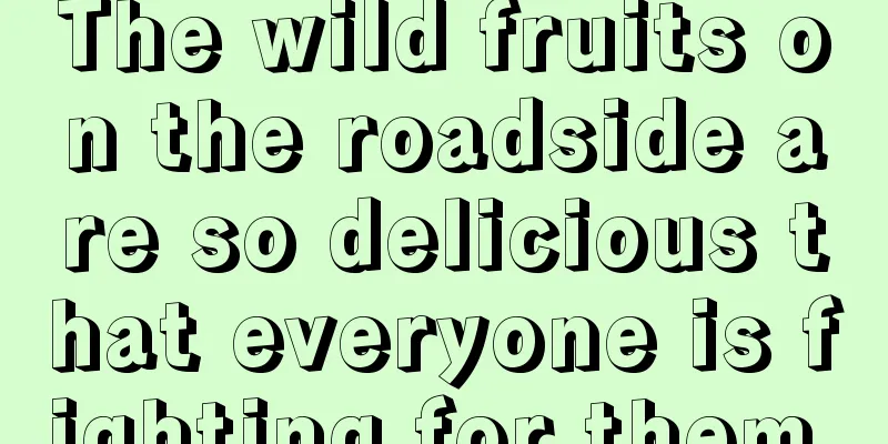 The wild fruits on the roadside are so delicious that everyone is fighting for them.