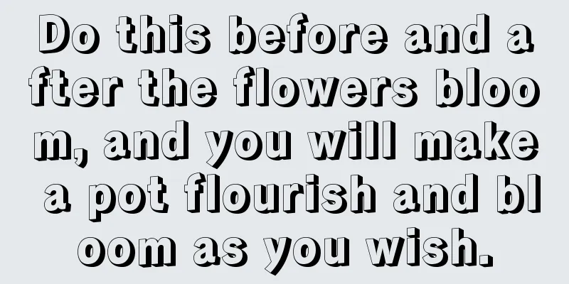 Do this before and after the flowers bloom, and you will make a pot flourish and bloom as you wish.