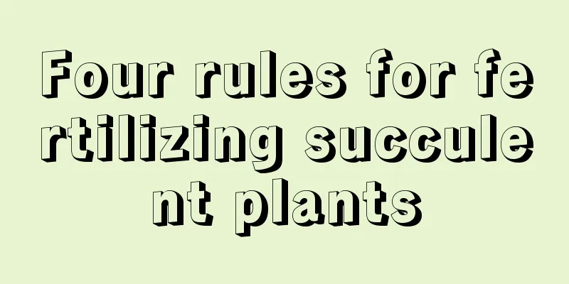 Four rules for fertilizing succulent plants