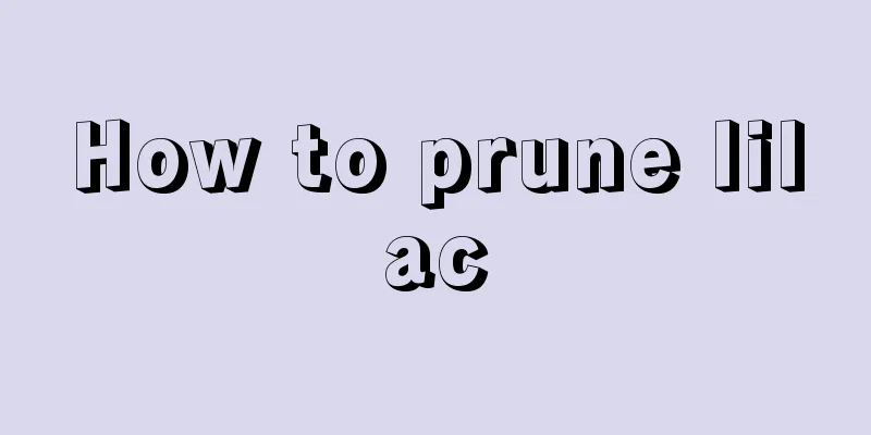 How to prune lilac