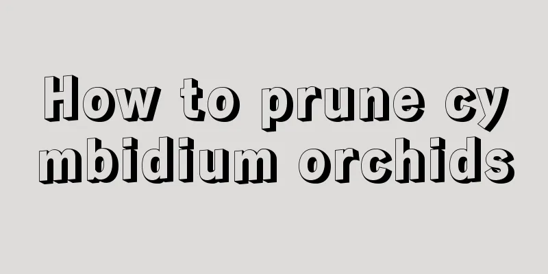 How to prune cymbidium orchids