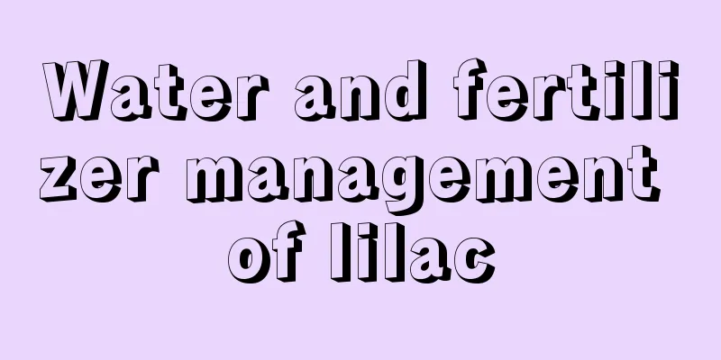 Water and fertilizer management of lilac