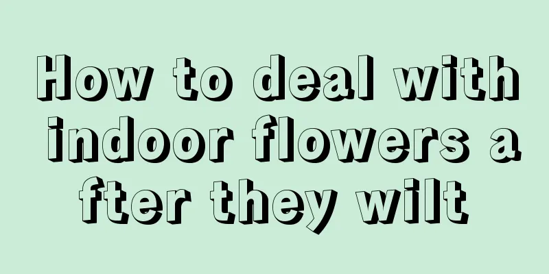 How to deal with indoor flowers after they wilt